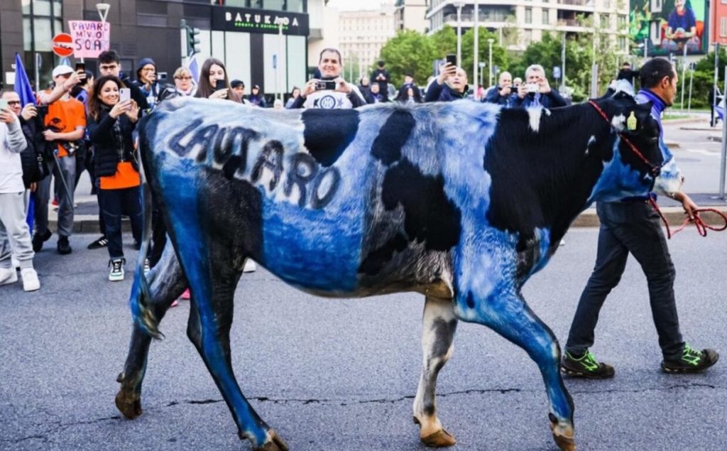 Mucca nerazzurra alla festa dell’Inter: l’OIPA denuncia VIDEO